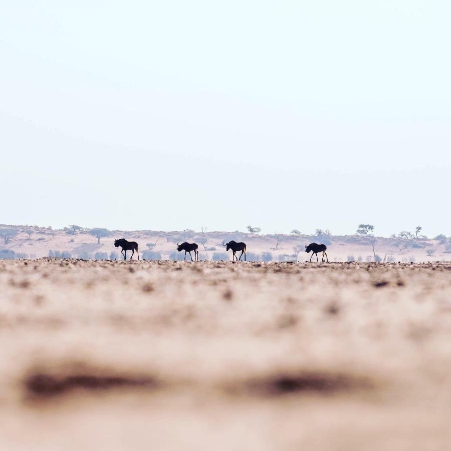 הוילה Hardap Bagatelle Kalahari Game Ranch מראה חיצוני תמונה